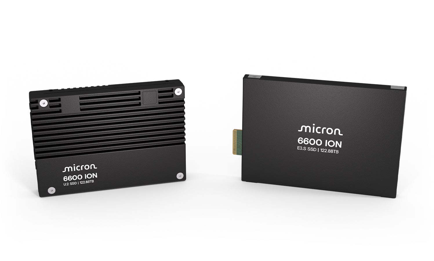 Micron 6600 ION NVMe™ SSD product family