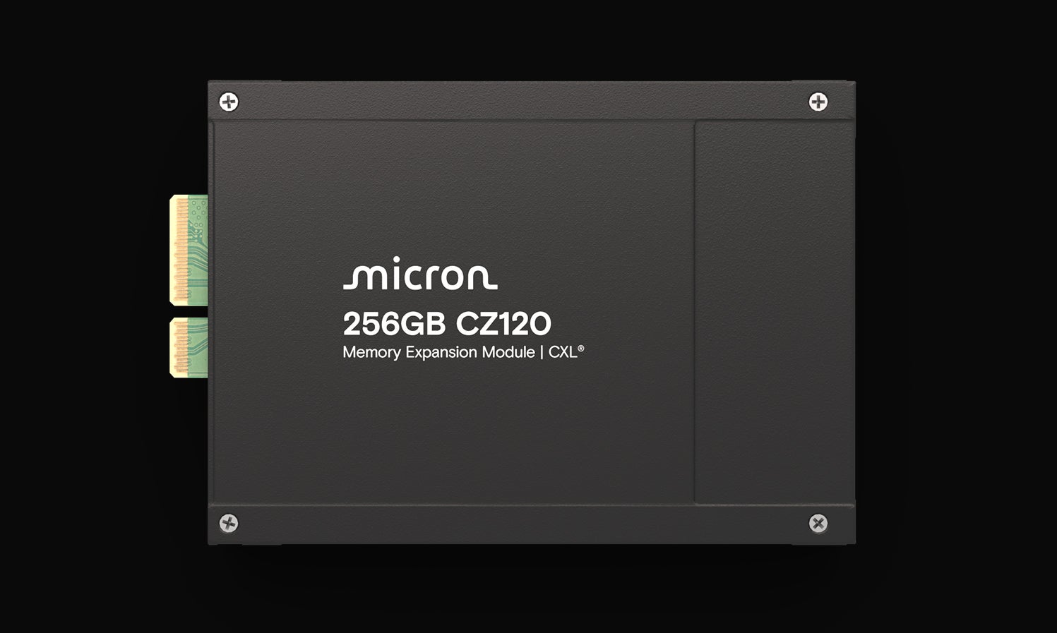 Micron CZ120 256GB chip